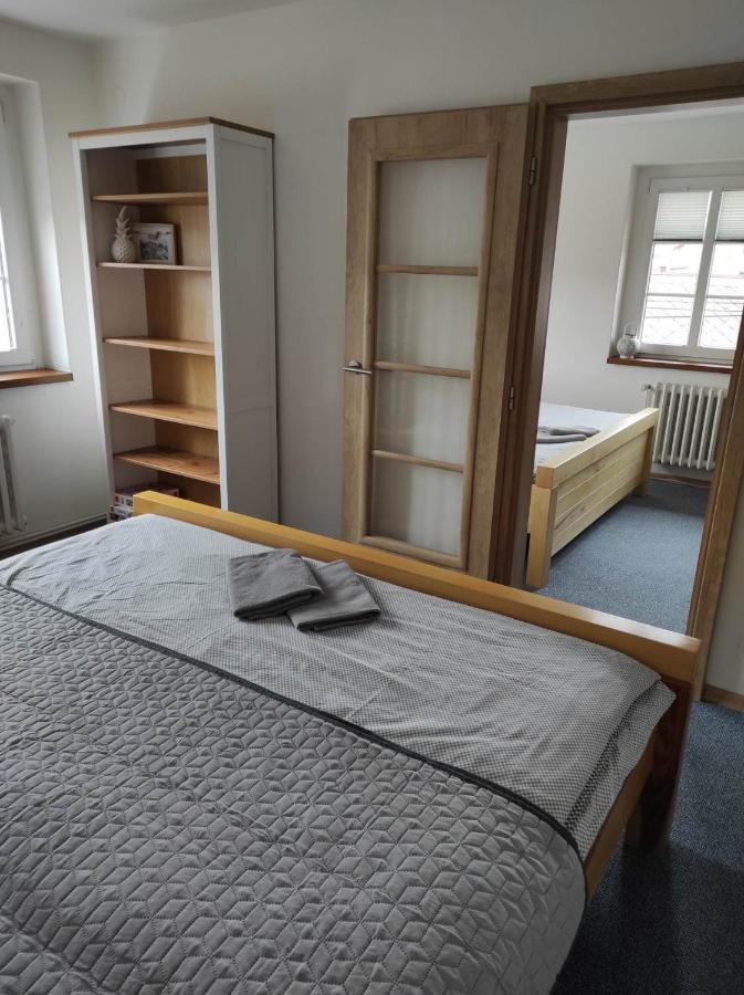 Penzion Adler Police nad Metuji Bagian luar foto