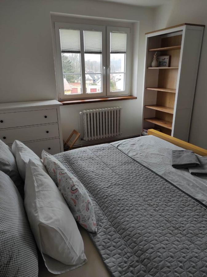 Penzion Adler Police nad Metuji Bagian luar foto